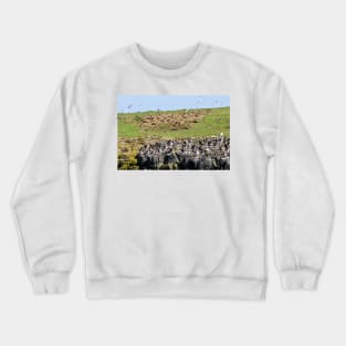 A Puffin Landscape - Farne Islands, Northumberland, UK Crewneck Sweatshirt